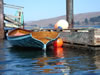 DSC00328_1