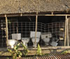 DSC00428_Web