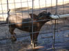 DSC00968_01