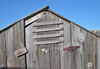 DSC01086_1