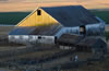 DSC01126.DDcrop01
