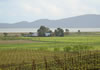 DSC02128_DD