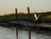 DSC02945_2