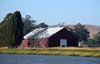 DSC03010