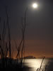 DSC03352