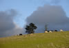 DSC04812_1