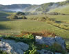 DSC04962_1