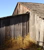 DSC05340_1