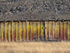 DSC05368_1