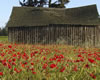 DSC08908_Web