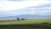 DicksonBrothersRanch_from_ParadiseVineyards